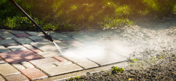 Animal Enclosure Cleaning in Upper Arlington, OH